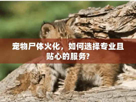 宠物尸体火化，如何选择专业且贴心的服务?