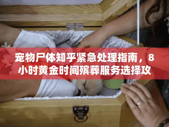 宠物尸体知乎紧急处理指南，8小时黄金时间殡葬服务选择攻略