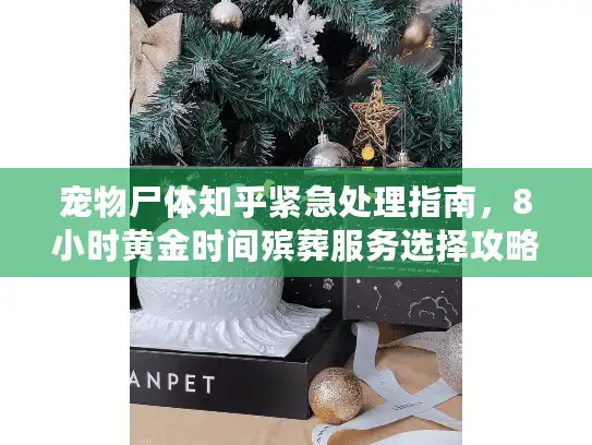 宠物尸体知乎紧急处理指南，8小时黄金时间殡葬服务选择攻略