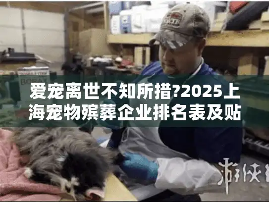 爱宠离世不知所措?2025上海宠物殡葬企业排名表及贴心服务指南
