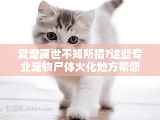 爱宠离世不知所措?这些专业宠物尸体火化地方帮您体面告别