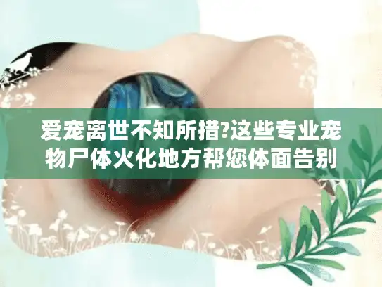 爱宠离世不知所措?这些专业宠物尸体火化地方帮您体面告别