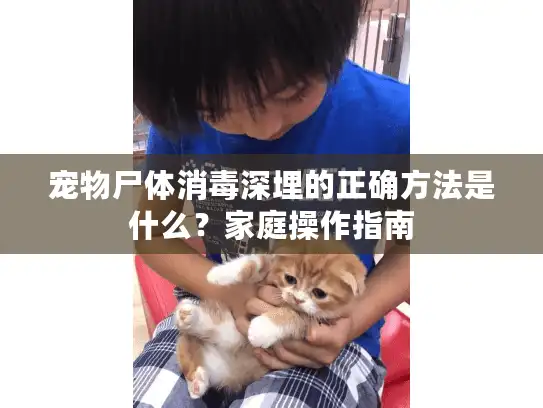 宠物尸体消毒深埋的正确方法是什么？家庭操作指南
