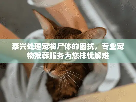 泰兴处理宠物尸体的困扰，专业宠物殡葬服务为您排忧解难