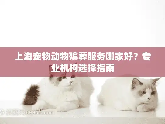 上海宠物动物殡葬服务哪家好？专业机构选择指南