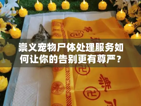 崇义宠物尸体处理服务如何让你的告别更有尊严？