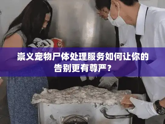 崇义宠物尸体处理服务如何让你的告别更有尊严？