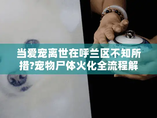 当爱宠离世在呼兰区不知所措?宠物尸体火化全流程解答