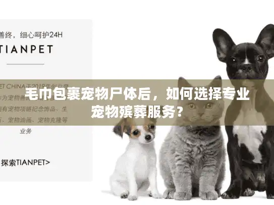 毛巾包裹宠物尸体后，如何选择专业宠物殡葬服务？