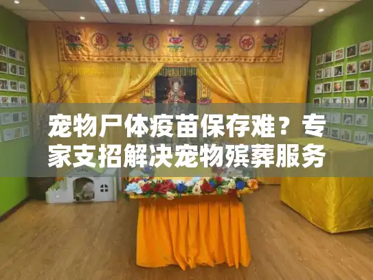 宠物尸体疫苗保存难？专家支招解决宠物殡葬服务疫苗记录管理痛点