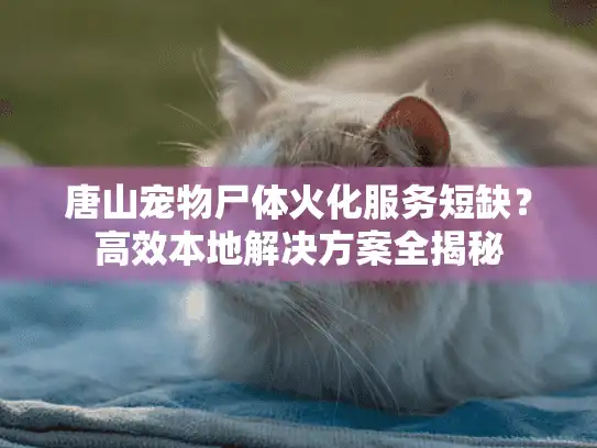 唐山宠物尸体火化服务短缺？高效本地解决方案全揭秘