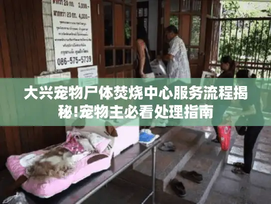 大兴宠物尸体焚烧中心服务流程揭秘!宠物主必看处理指南