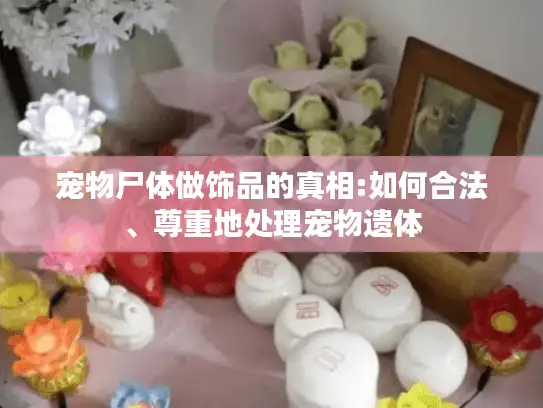 宠物尸体做饰品的真相:如何合法、尊重地处理宠物遗体
