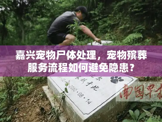 嘉兴宠物尸体处理，宠物殡葬服务流程如何避免隐患？