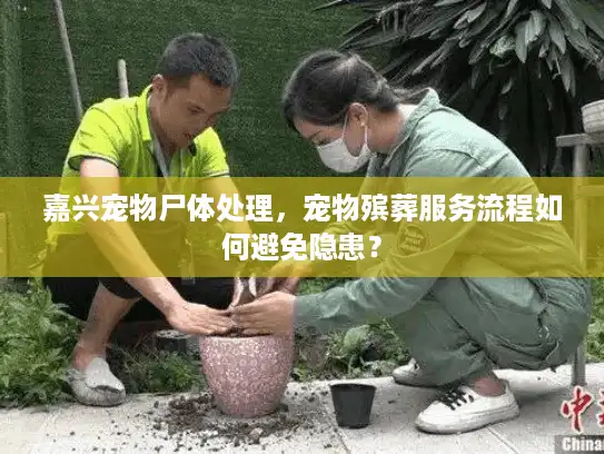 嘉兴宠物尸体处理，宠物殡葬服务流程如何避免隐患？