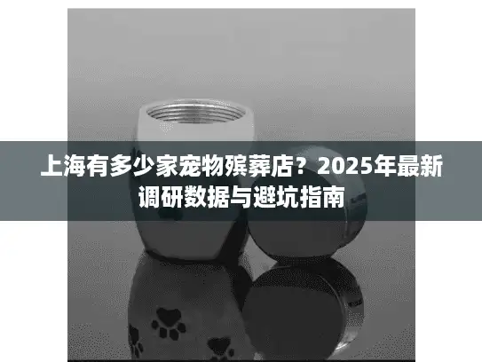 上海有多少家宠物殡葬店？2025年最新调研数据与避坑指南