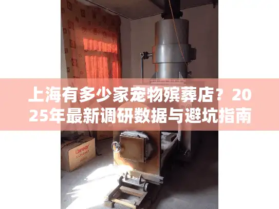 上海有多少家宠物殡葬店？2025年最新调研数据与避坑指南