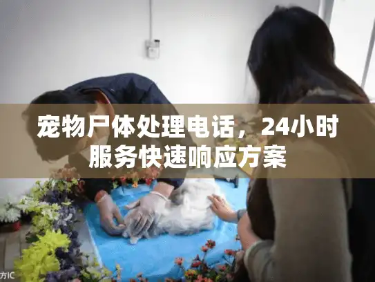 宠物尸体处理电话，24小时服务快速响应方案