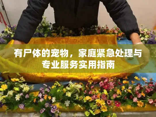 有尸体的宠物，家庭紧急处理与专业服务实用指南