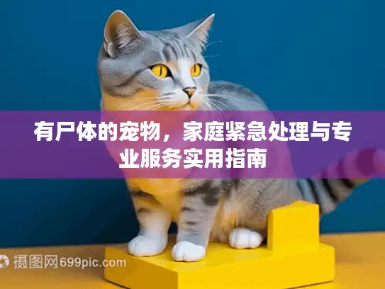 有尸体的宠物，家庭紧急处理与专业服务实用指南