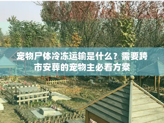 宠物尸体冷冻运输是什么？需要跨市安葬的宠物主必看方案