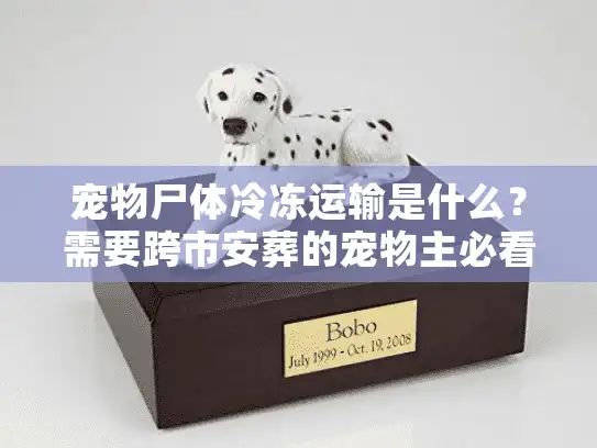宠物尸体冷冻运输是什么？需要跨市安葬的宠物主必看方案