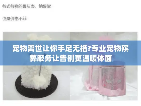 宠物离世让你手足无措?专业宠物殡葬服务让告别更温暖体面