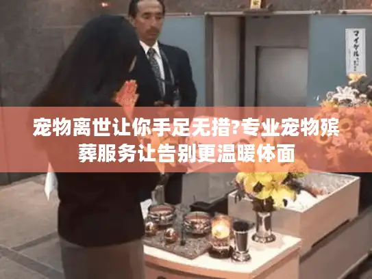 宠物离世让你手足无措?专业宠物殡葬服务让告别更温暖体面