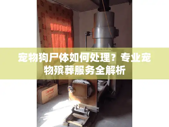 宠物狗尸体如何处理？专业宠物殡葬服务全解析