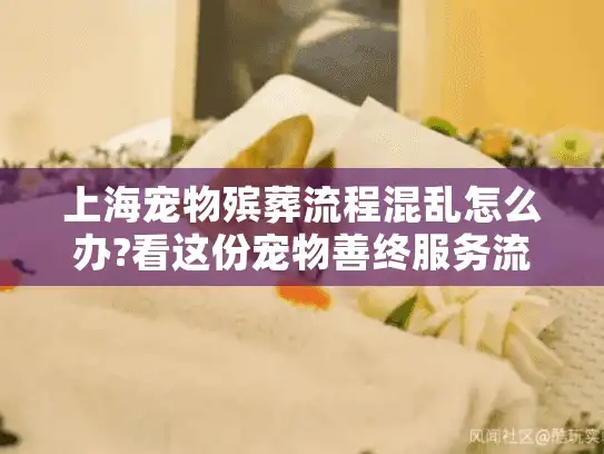 上海宠物殡葬流程混乱怎么办?看这份宠物善终服务流程图