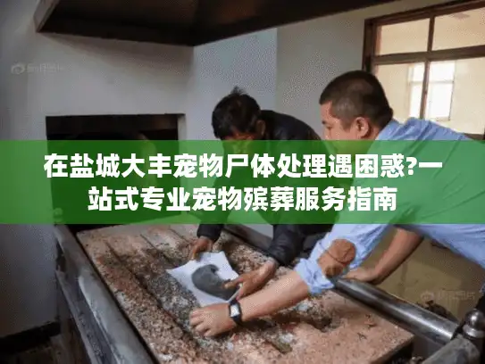在盐城大丰宠物尸体处理遇困惑?一站式专业宠物殡葬服务指南