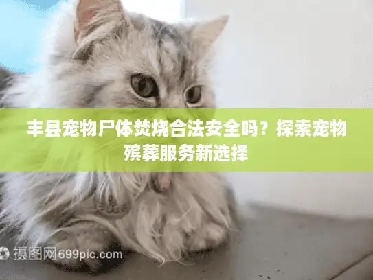 丰县宠物尸体焚烧合法安全吗？探索宠物殡葬服务新选择
