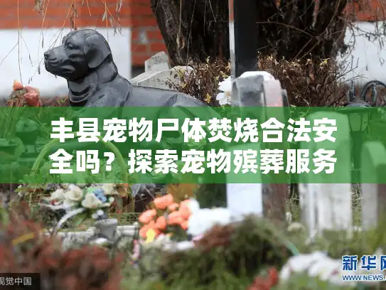 丰县宠物尸体焚烧合法安全吗？探索宠物殡葬服务新选择