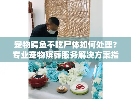 宠物鳄鱼不吃尸体如何处理？专业宠物殡葬服务解决方案指南
