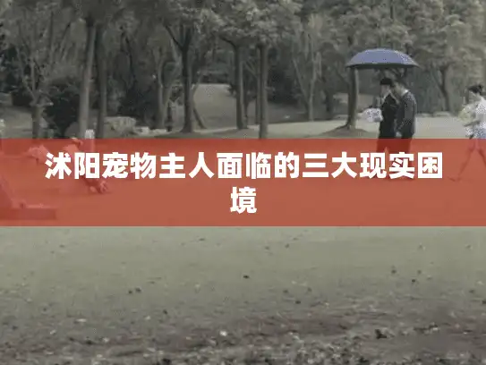 沭阳宠物主人面临的三大现实困境