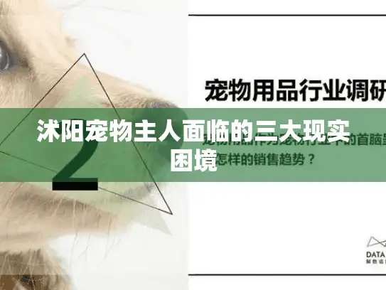 沭阳宠物主人面临的三大现实困境