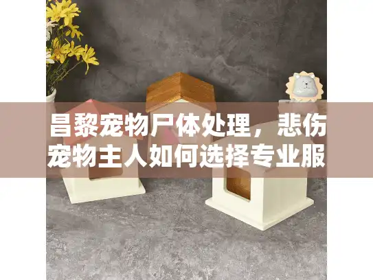 昌黎宠物尸体处理，悲伤宠物主人如何选择专业服务指南