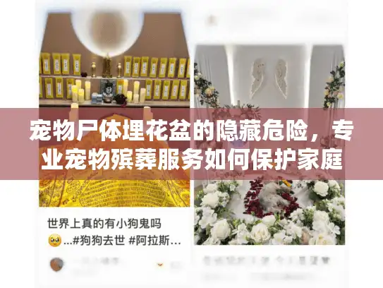 宠物尸体埋花盆的隐藏危险，专业宠物殡葬服务如何保护家庭与环境？