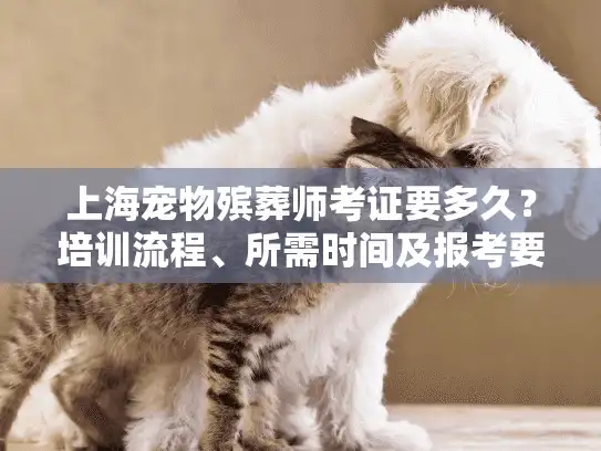 上海宠物殡葬师考证要多久？培训流程、所需时间及报考要求全解析