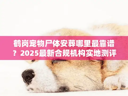 鹤岗宠物尸体安葬哪里最靠谱？2025最新合规机构实地测评