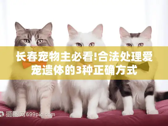 长春宠物主必看!合法处理爱宠遗体的3种正确方式