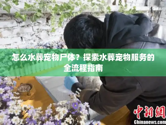 怎么水葬宠物尸体？探索水葬宠物服务的全流程指南