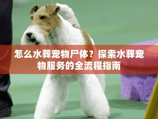 怎么水葬宠物尸体？探索水葬宠物服务的全流程指南