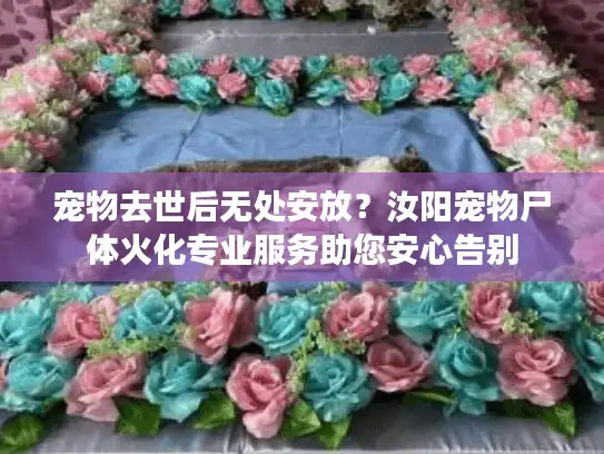 宠物去世后无处安放？汝阳宠物尸体火化专业服务助您安心告别