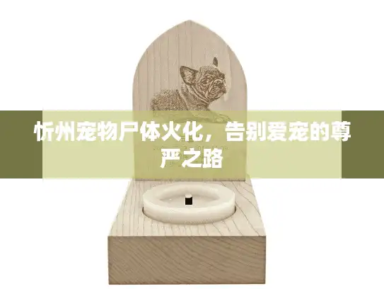 忻州宠物尸体火化，告别爱宠的尊严之路