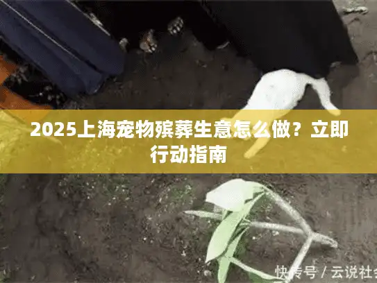 2025上海宠物殡葬生意怎么做？立即行动指南