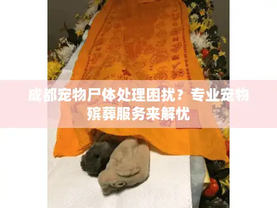 成都宠物尸体处理困扰？专业宠物殡葬服务来解忧
