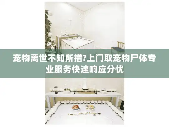 宠物离世不知所措?上门取宠物尸体专业服务快速响应分忧