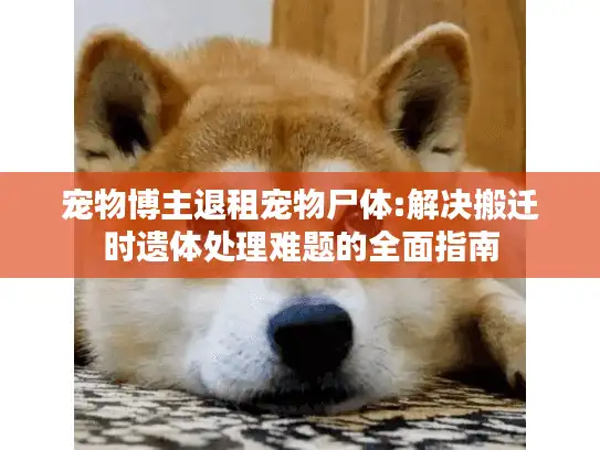 宠物博主退租宠物尸体:解决搬迁时遗体处理难题的全面指南