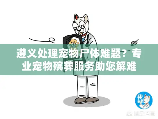 遵义处理宠物尸体难题？专业宠物殡葬服务助您解难